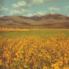 lonesome_crowded_west