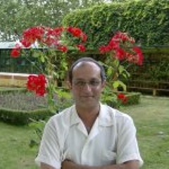 Luis Filipe Pires