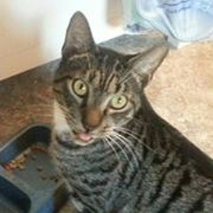 Maria Theresa Johansson