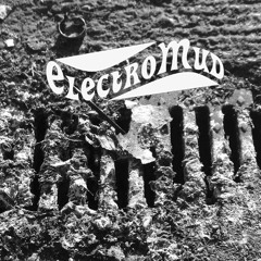 ElectroMud