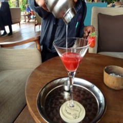 Camilla Lonsdale -Thomson