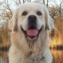 Mikemar Roobeekschijndel