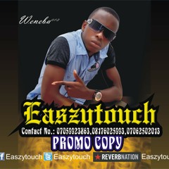 Easzytouch