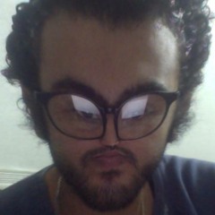 Hussein Mohamed H