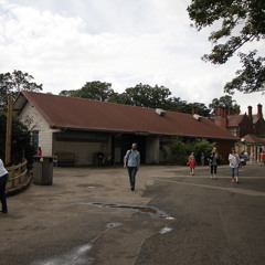 jamierawlins