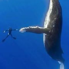 Hugito