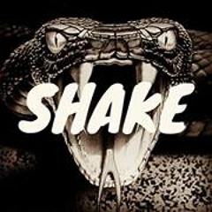 Shake Mixes