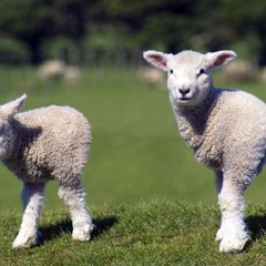 Marcos Lopez Herrero