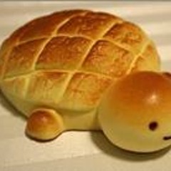 BBOYTURTLE
