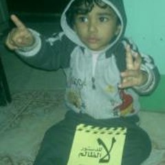Mohamed Fathy Elmahllawy