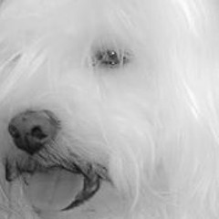 Jadiya Beatriz Crespo