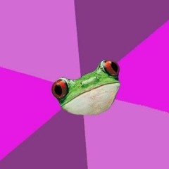 bachelorettefrog