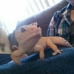 billyjates
