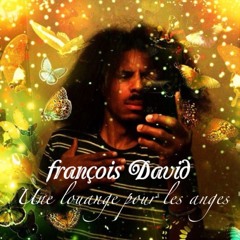 davidfrancois010273