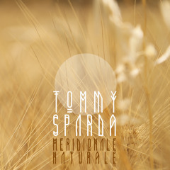 Tommy Sparda