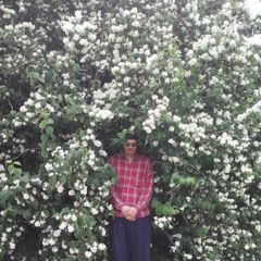 Schy Man Enterprises