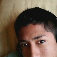 alternativa