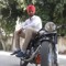 Veer Singh 6