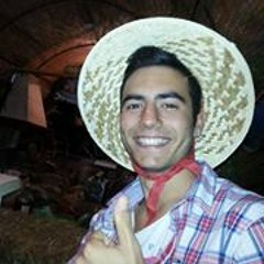 user334444716