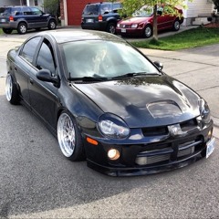 shaffer_srt