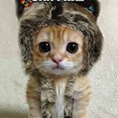 Stevi Nicole Maldonado