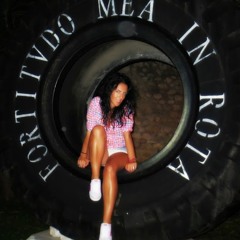 Chris Brown Feat Dawn Richards - Wicked Things - New 2013