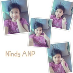 nindy_anp