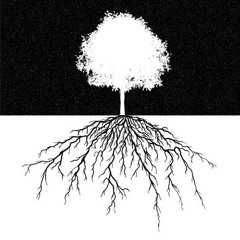 Deep Roots Rec.