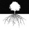 Deep Roots Rec.