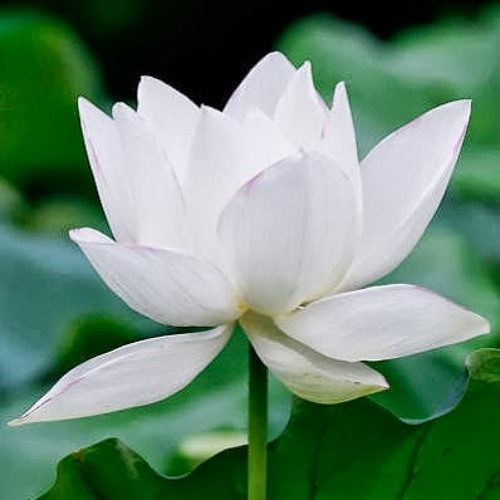 Hai Đứa Mình Yêu Nhau
