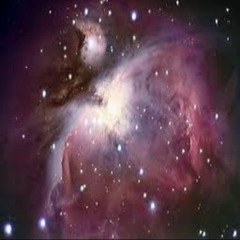 Néogalactica
