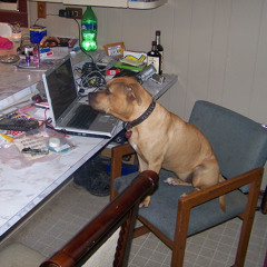 Sounds from Wednesday evening