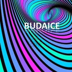 BUDAICE