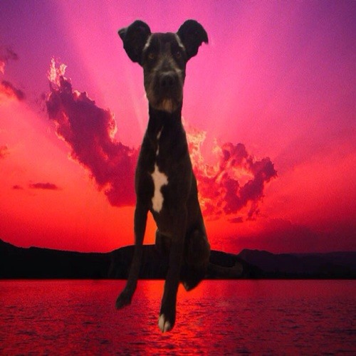 Somebody that I used to know (Deep House Remix)