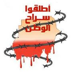 Ashraf Elsir