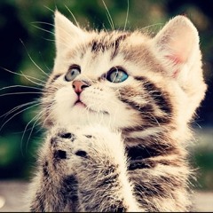 Electrobeat 22 (Official)