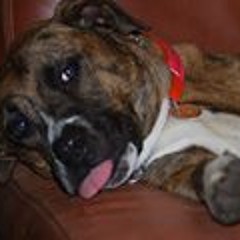 Misty Phillips Maloney