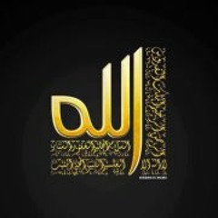 Alaa Hamdy 6