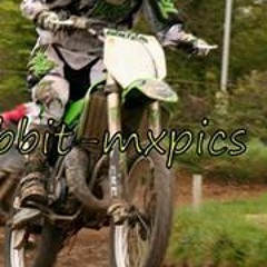Luke Williams 81