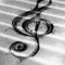 Music Tamy