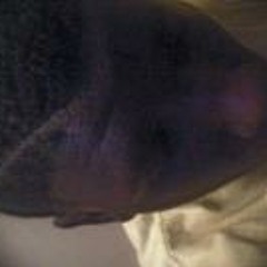 Kameron PoloBoy Johnson