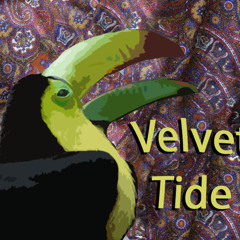 Velvet Tide