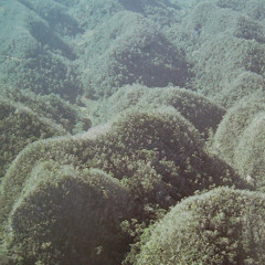 mothfeathers FKA oh.bee