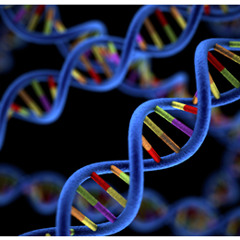 J-DNA