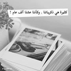 Saied H Shafik