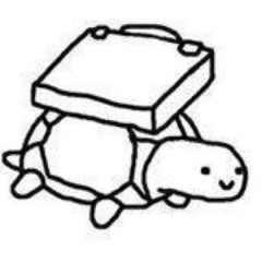 hansol