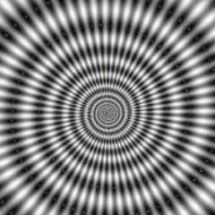 zxccvbvbn
