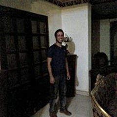 Mohamed Ahmed Hafez 1