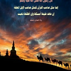 user113241324