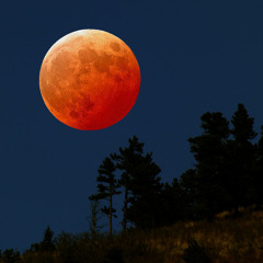 REEDMOON
